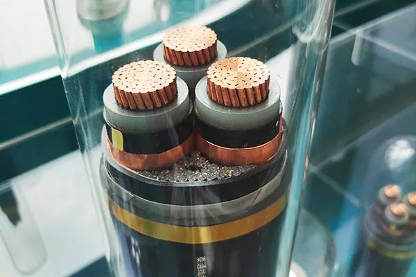 Пълна сервизна поддръжка